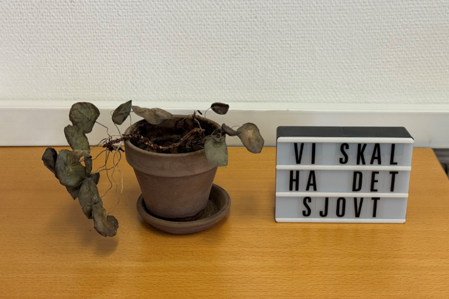 5 tematikker og arbejdstrivsel